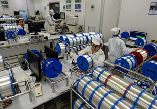 蘇商從 魚米之鄉(xiāng) 邁向世界舞臺(tái)